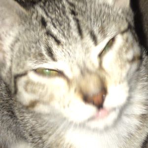 Meet your Posher, Adrian